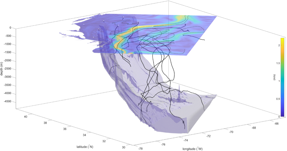 Modeling particle movement