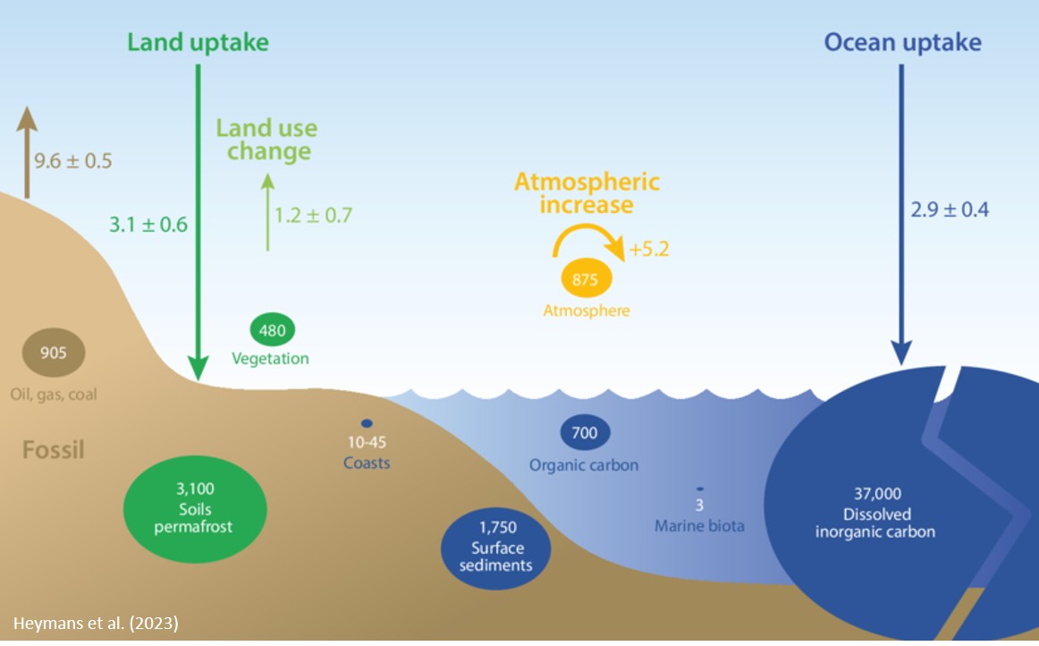 Measuring DIC is essential for tracking carbon in the ocean