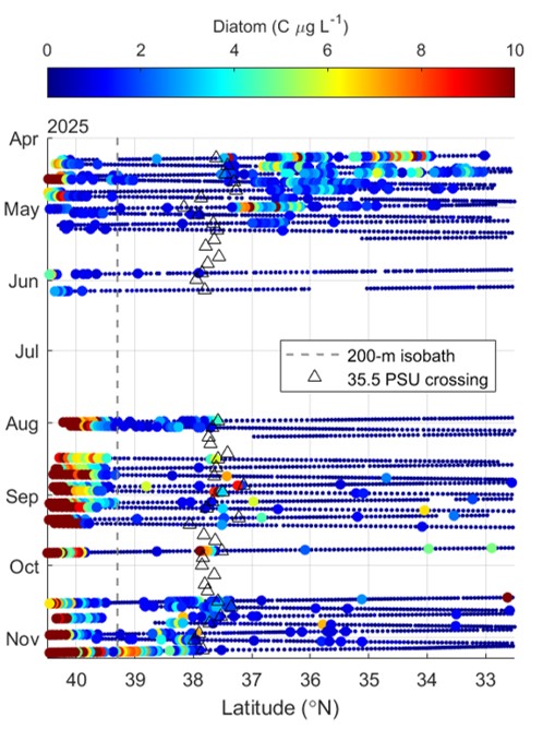 Phytoplankton_seasonal_patterns